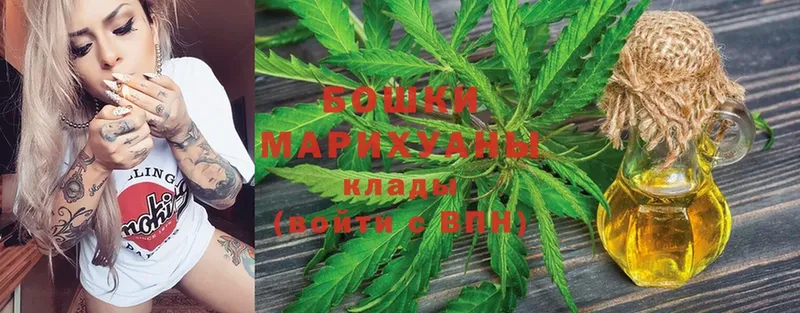 Бошки марихуана White Widow  мега зеркало  Егорьевск  наркота 